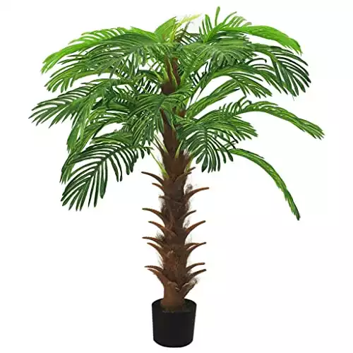 lemon lime monstera Monstera Lemon Lime 2” – Rare Foliage Plant Co main image 0